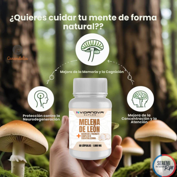 Cápsulas de Melena de León – Energía Mental – Recupera tu Claridad Día a Día