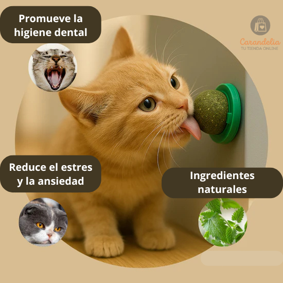Hierba Gatera - Felicidad y juego para tu gato