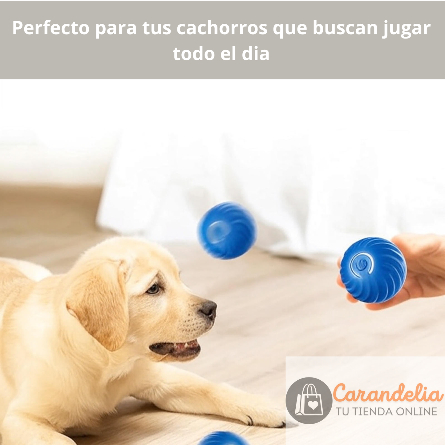 Pelota Interactiva Recargable - El mejor amigo para tu mascota