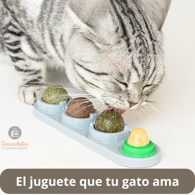 Hierba Gatera - Felicidad y juego para tu gato
