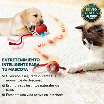 Pelota Curiosa™ - Juego, movimiento y curiosidad con solo encenderla.