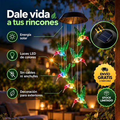 Colibrí Mágico™ - Llena tus noches de color