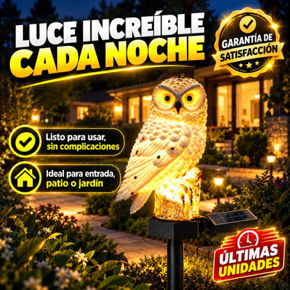 BúhoLuz™ - El detalle que cambia cómo se ve el jardín de noche