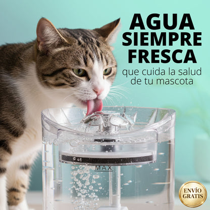 Aguapet-Agua siempre fresca para tu mascota