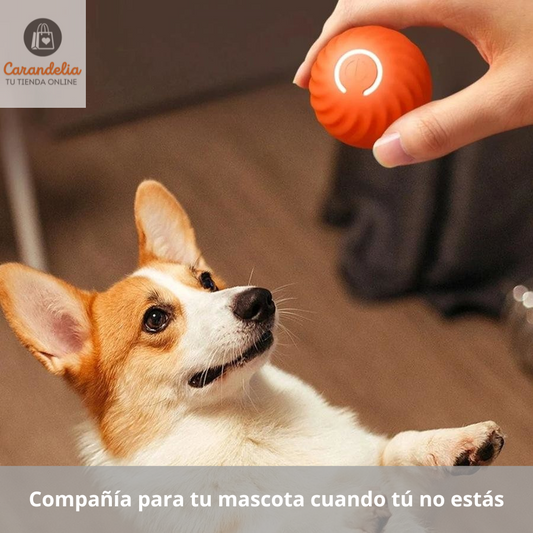 Pelota Interactiva Recargable - El mejor amigo para tu mascota