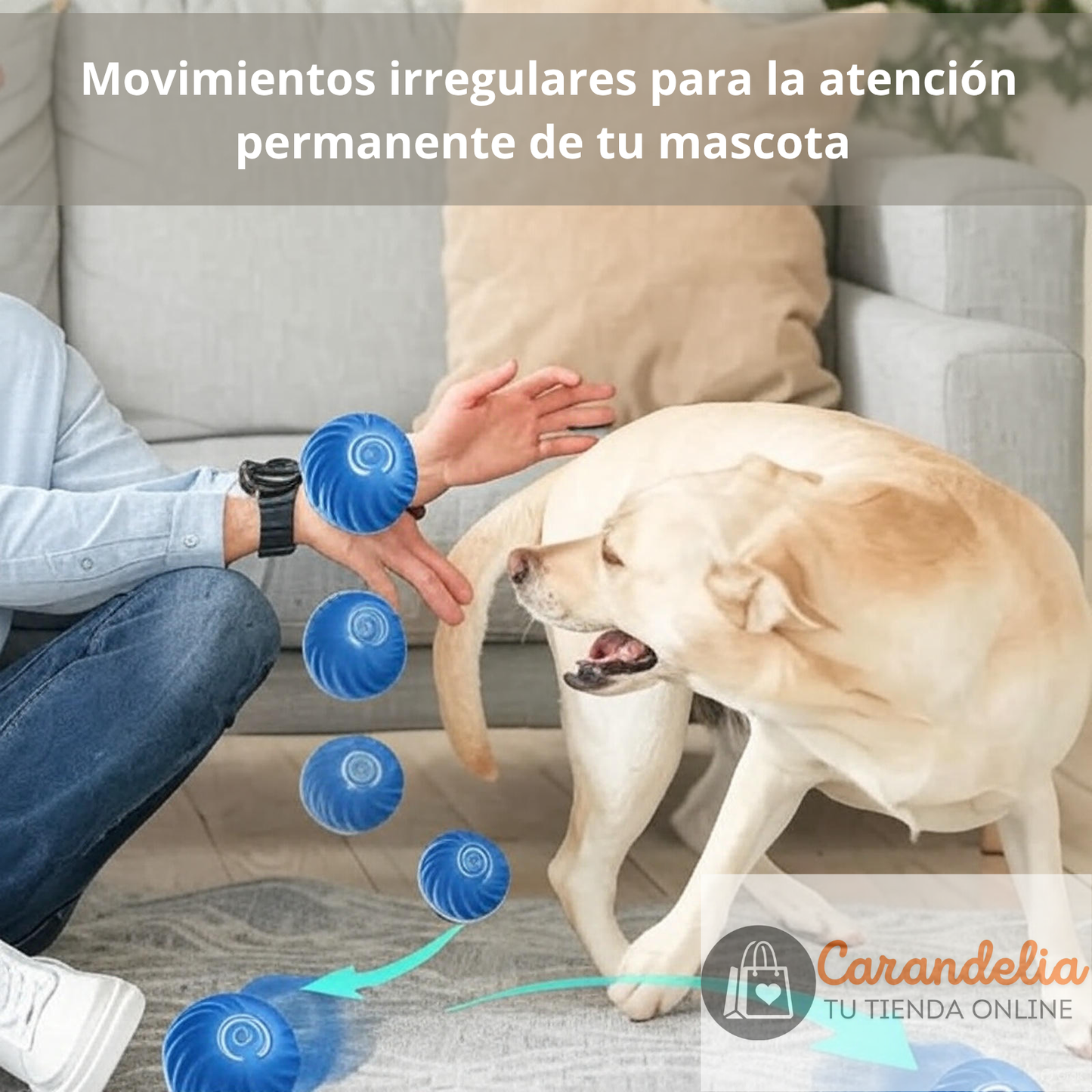 Pelota Interactiva Recargable - El mejor amigo para tu mascota