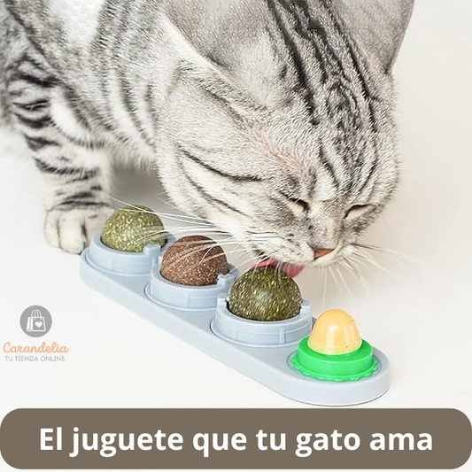 Hierba Gatera - Felicidad y juego para tu gato